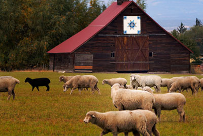 quilt,barn,cleelum