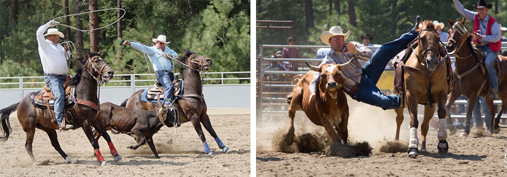 cattle,roping,cleelum