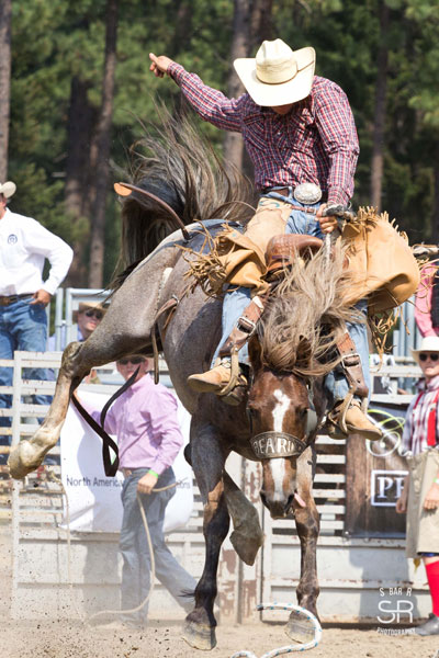 steer,wrestling,cleelum