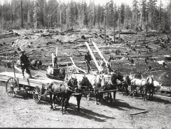 lumber,mill,in,upper,kittitas county,cleelum