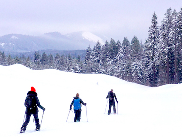 cross,country,skiing,&,snowshoeing,cle,elum