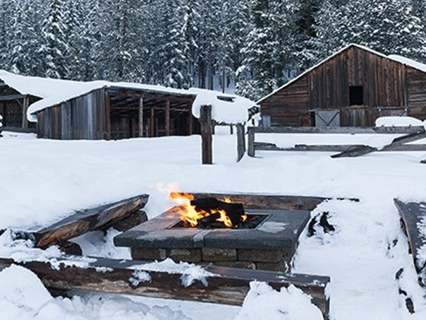 farm,shop,&,snowshoes
,cle,elum