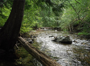 big,creek,cle,elum