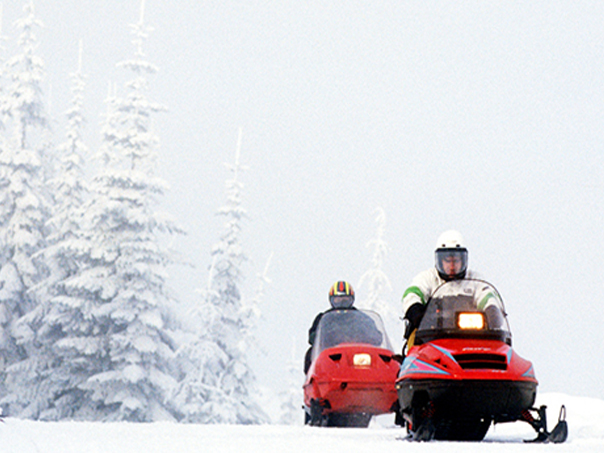 guided,winter,tours,cle,elum