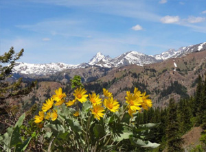 iron,bear,teanaway,ridge,trail,cle,elum
