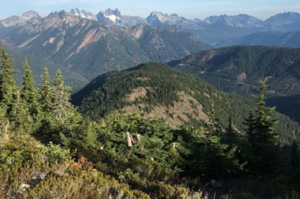 thorp,mountain,lookout,(via,thorp,creek),cle,elum